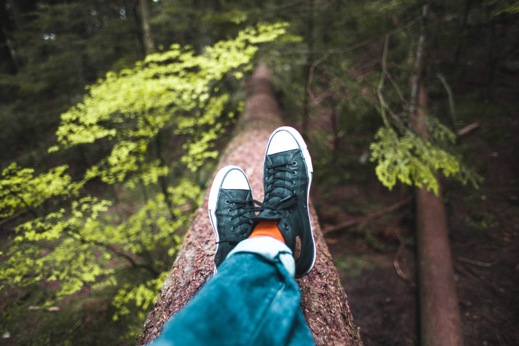 Me promener en forêt me calme, m'oxygène et au final me ressource. J'essaie donc de me promener au moins 30 min par jour au milieu des arbres.